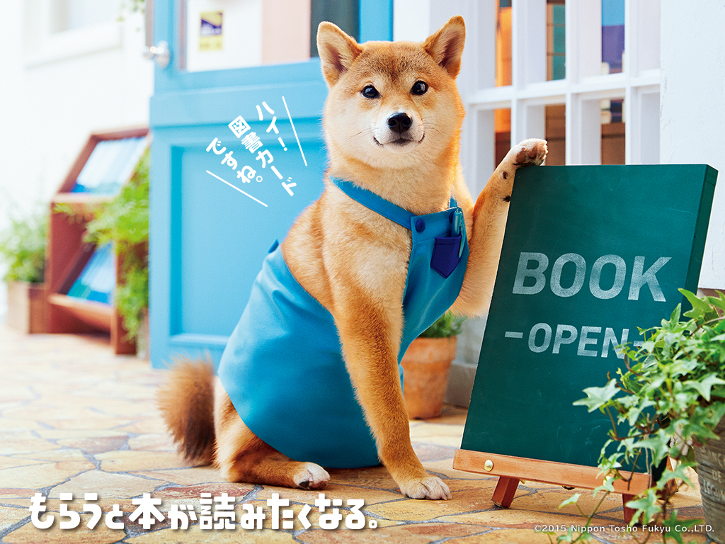 ȋȑq part 2 [f]ڋ֎~]©bbspink.com	->摜>4494 