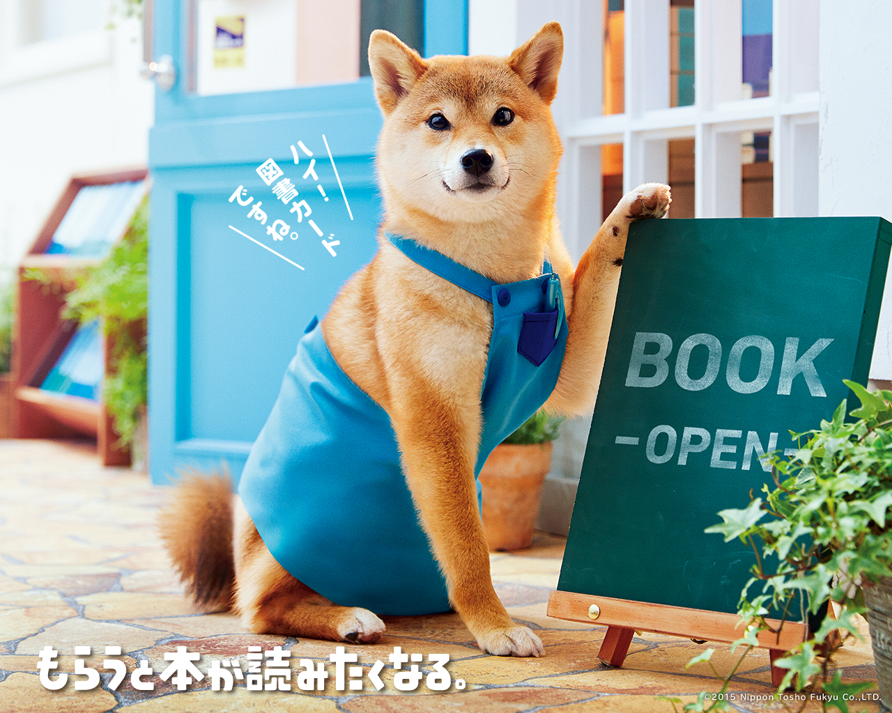 ȋȑq part 2 [f]ڋ֎~]©bbspink.com	->摜>4494 