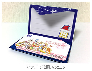 ミニケース＜青＞