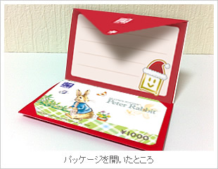ミニケース＜赤＞