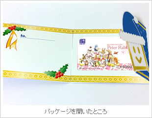 雪の結晶ケース＜青＞