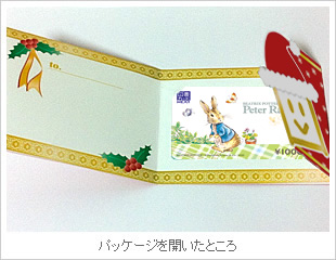 雪の結晶ケース＜赤＞
