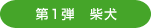 第1弾　柴犬