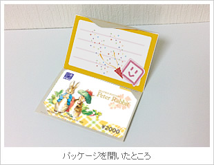 手づくりパッケージを楽しもう お礼 誕生日 図書カードnext